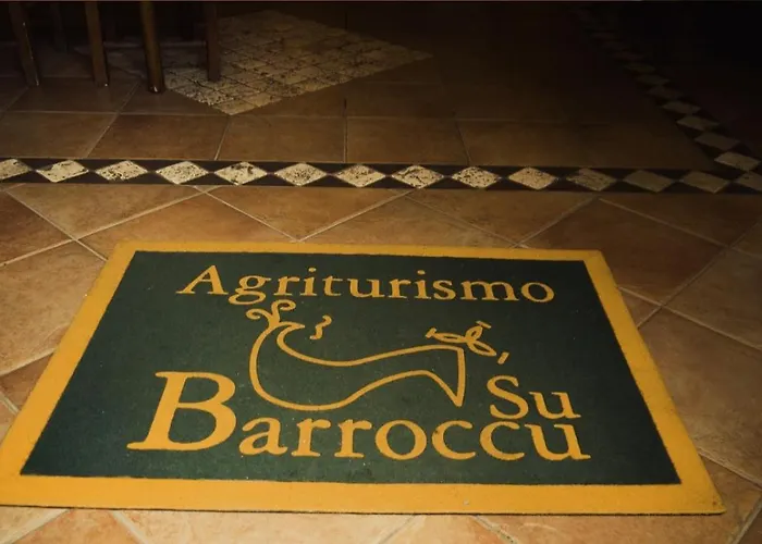 Su Barroccu 住宿加早餐酒店 里奥拉萨尔多
